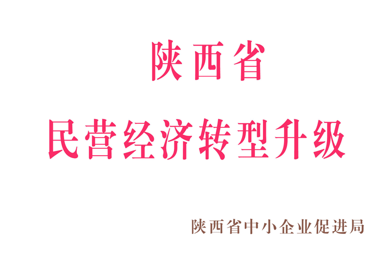 陜西省民營經(jīng)濟(jì)轉(zhuǎn)型升級